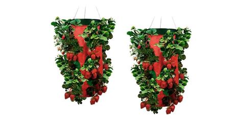 Topsy Turvy Upside Down Strawberry Planter 2 Pack