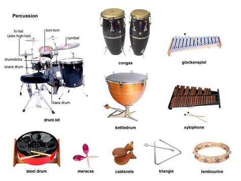 Know Well About The 5 Categories Of Instruments And Pick Up The Right Beats