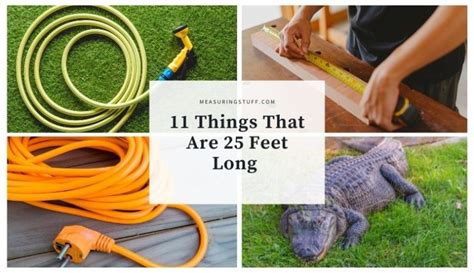 11 Things That Are 25 Feet Long Measuring Stuff