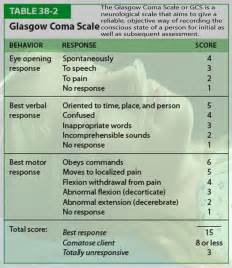 Pediatric Glasgow Coma Scale Pdf In Vector Systemcelestial