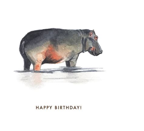 Hippopotamus Happy Birthday Etsy