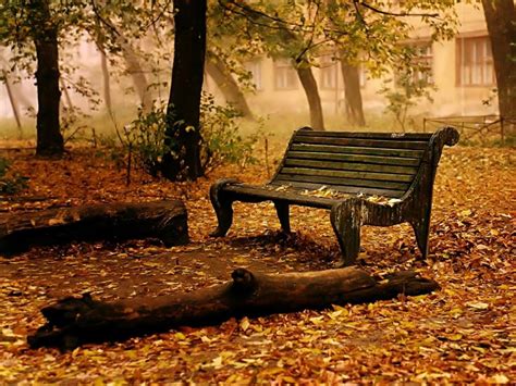 Old Bench In The Park Autumn Leaves Trees Hd Wallpaper Nature And