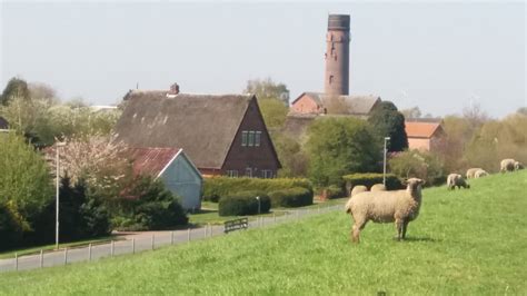 Wohnung mieten in drochtersen und landkreis stade 0 ergebnisse. Grosse, ruhige Wohnung unter Reetdach am Deich ...