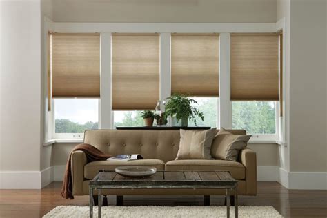 Cell Shade Contemporary Window Coverings Contemporary Living Room