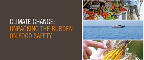 Climate Change Unpacking The Burden On Food Safety Globefish Food
