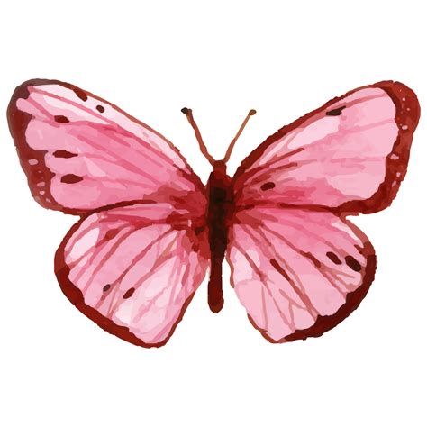 Watercolor Pink Butterfly 10921899 Png