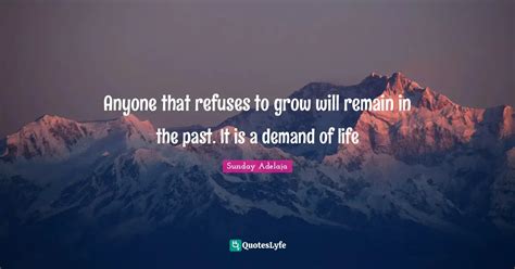 Best Refuses Quotes With Images To Share And Download For Free At Quoteslyfe