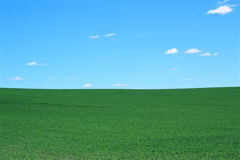 Green Field Blue Sky Photograph By Jeramie Curtice