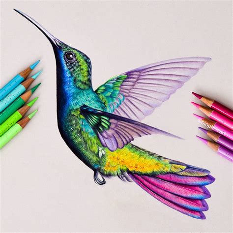Picture Of A Beautiful Hummingbird Drawn Using Colored Pencils