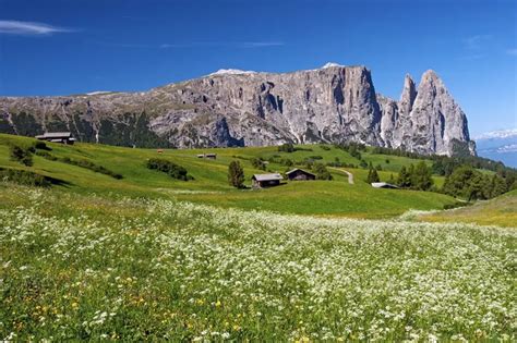 Why You Need To Visit The Stunning Alpe Di Siusi Italy Wander Your Way