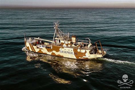 Is The Sea Shepherd Still In Operation Celebrityfm 1 Official