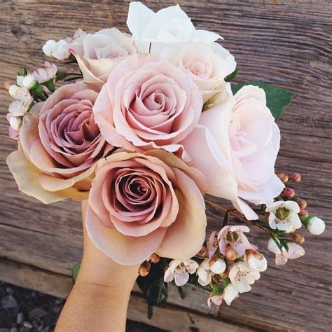 ☺100 Must See Hottest Mauve Wedding Decorations Mauve And Blush Roses