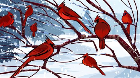 Cardinals In Snow Wallpaper 50 Images