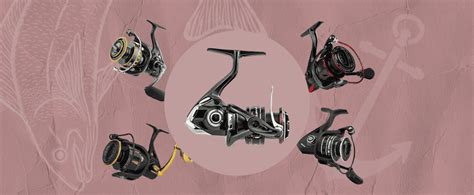 The Best Saltwater Spinning Reels Of Findyourfish