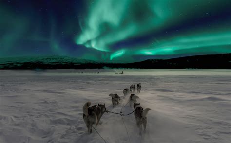 Where and When You Can See the Northern Lights - Unusual ...