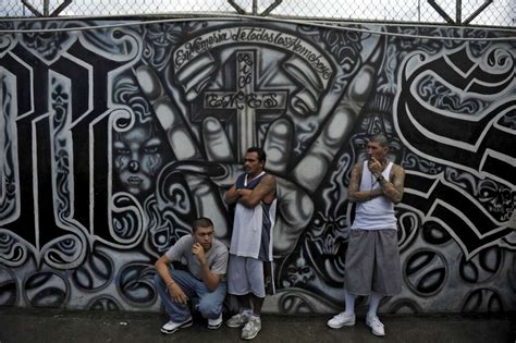 Ms 13 Is A Street Gang Not A Drug Cartel Why It Matters In The Us