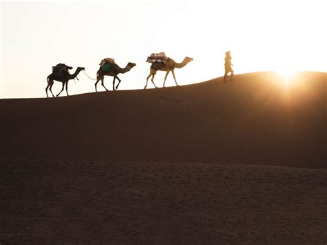 Nomads Of The Sahara Part Walking With Nomads