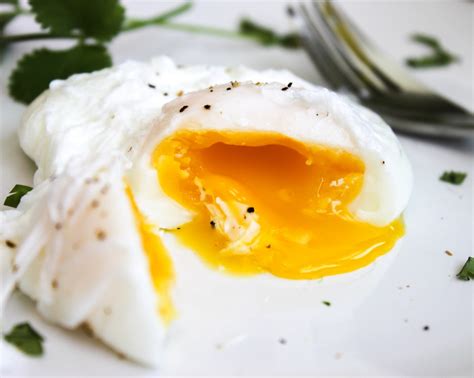 Poached Egg From Paddock To Plate