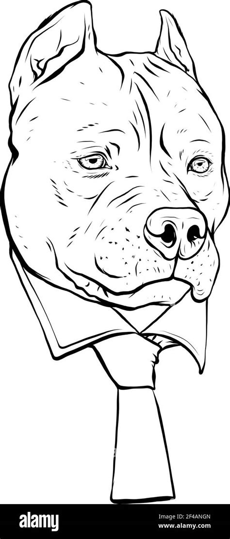 Draw In Black And White Of Pitbull Head With Necktie Vector