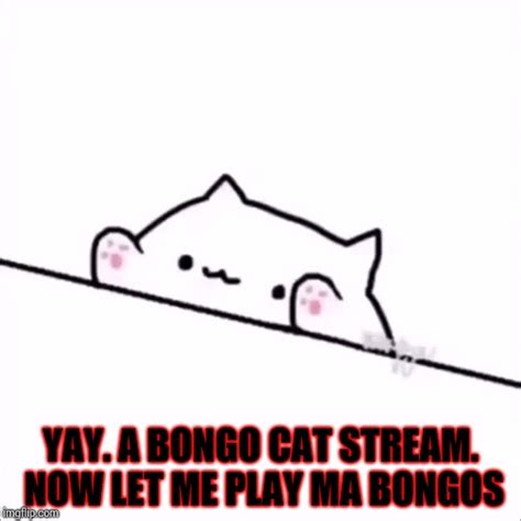 Bongo Cat Imgflip