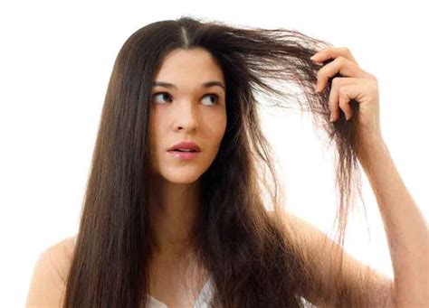 Ways You Are Damaging Your Hair Without Realizing It Salon Price List