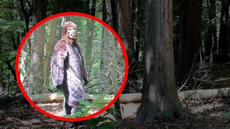 5 Real Bigfoot Caught On Camera And Spotted In Real Life