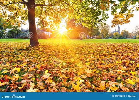 Sunny Autumn Park Stock Image Image Of Season Orange 34597253