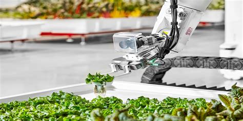Technology That Has Been Transforming The Food Industry