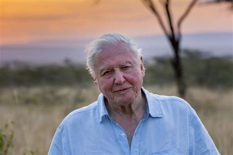 David Attenborough Netflix Our Planet Riset