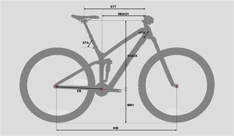 Complete Mountain Bike Size Guide With Chart M2b