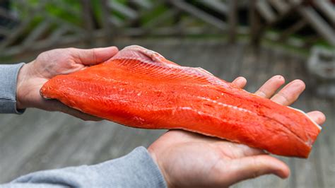 How To Determine If Salmon Was Wild Caught By Looking At Its Tail