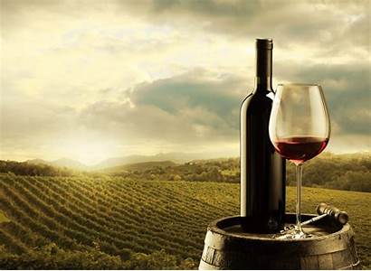 Wine Wallpapers Backgrounds