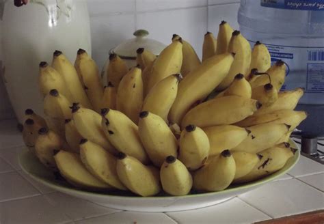 Jamaica Honey Bananas Insidejourneys