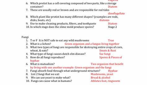Protist & Fungi- Study Guide Answer Key Protist 1. What protist