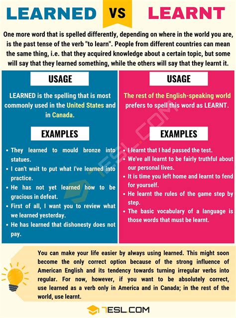 Learnt Vs Learned When To Use Learned Vs Learnt With Useful