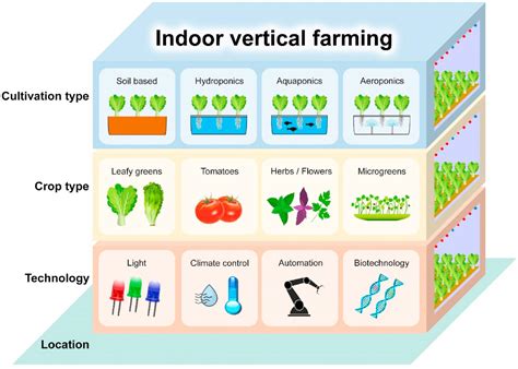 Seeing The Lights For Leafy Greens In Indoor Vertical Farming