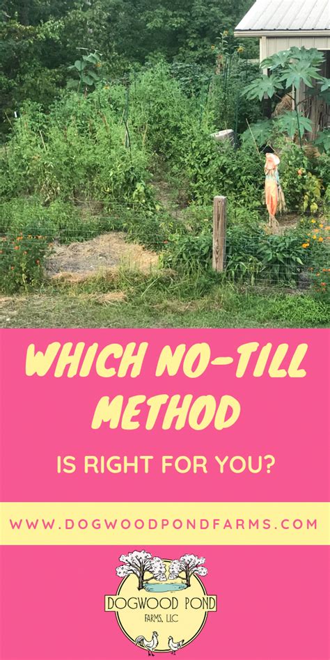 Find Out Which No Till Gardening Method You Should Choose