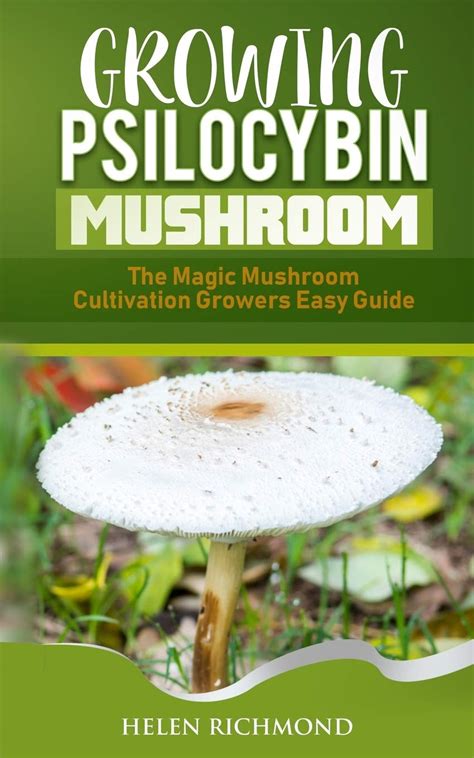 Buy Growing Psilocybin Mushroom The Magic Mushroom Cultivation Growers
