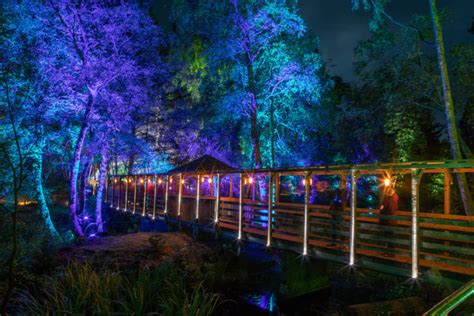 Pictures First Look At Wild New Enchanted Forest The Courier