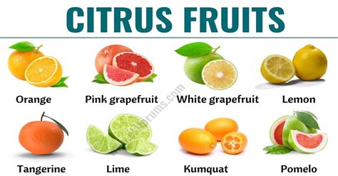 Citrus Fruits In This Lesson You Will Learn A List Of Citrus Fruits