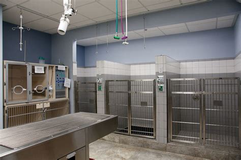 Our tamarac pet emergency center serves: Emergency Veterinary Hospital ICU