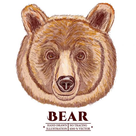 Premium Vector Portrait Of A Bear Hand Drawn Illustration Vectorized
