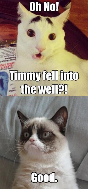 ← sleep quotes funny quotes about sleeping. Funny Cats .. Best Funniest Cat Quotes | Quotes and Humor