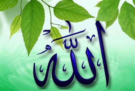Names of allah, also known as the 99 names of god or the 99 attributes of allah (arabic: Beautiful Flower Allah Names : Natural Beauty / Like ...