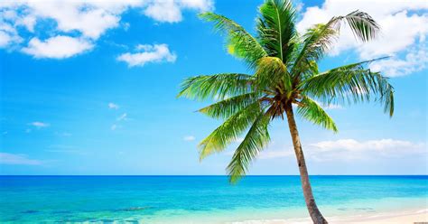 Tropical Beach Wallpapers, Pictures, Images
