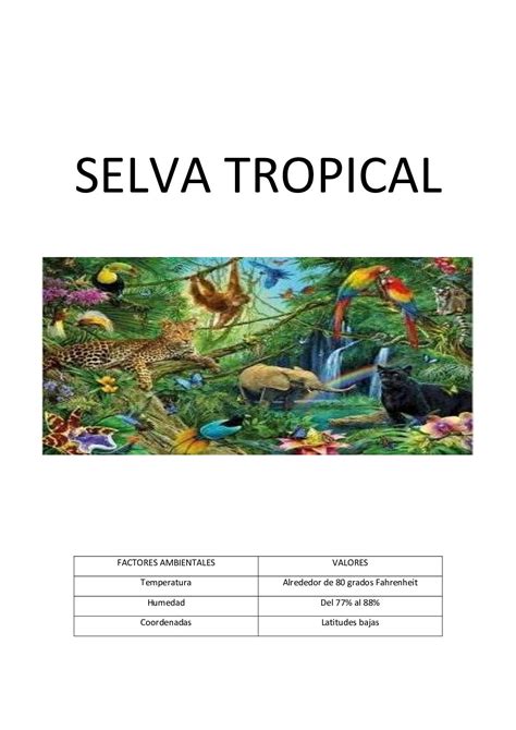 Factores Bioticos Y Abioticos De La Selva Prodesma