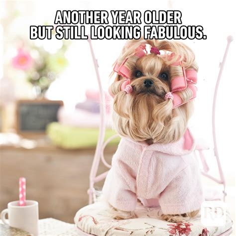 Funny Birthday Memes That Will Make Anyone Smile On Their Big Day