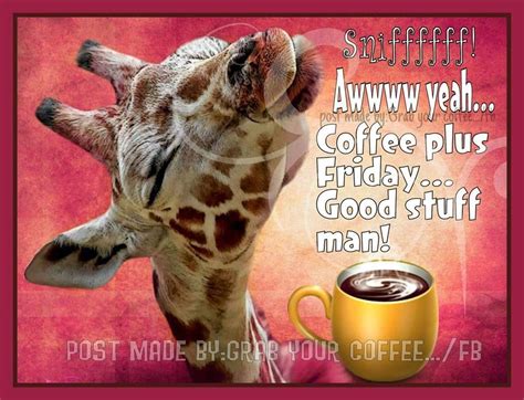 Aw Yeahcoffee Plus Fridaygood Stuff Man Pictures Photos And