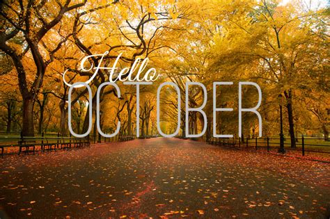 The Posh Coincidence Hello October