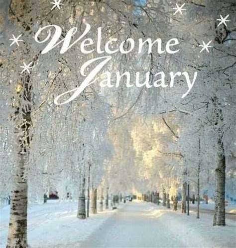 Welcome January Hello January January Wallpaper January Quotes